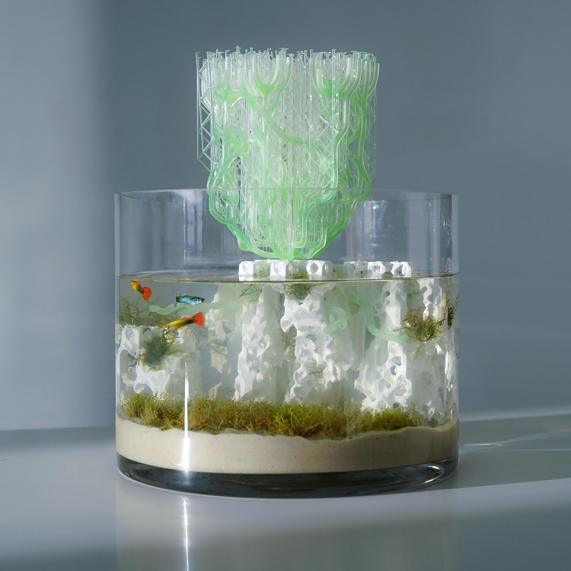 Cellular Automata mangrove prototype installed in a living aquarium